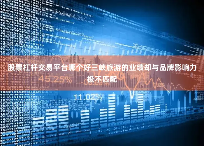 股票杠杆交易平台哪个好三峡旅游的业绩却与品牌影响力极不匹配