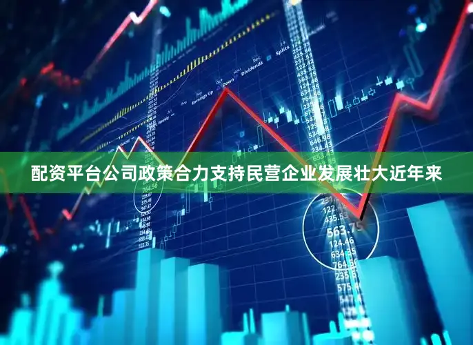 配资平台公司　　政策合力支持民营企业发展壮大　　近年来